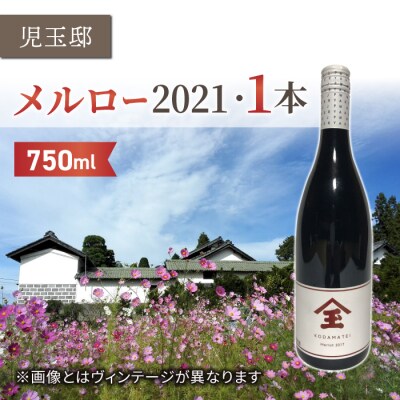 【ゼロ磁場の児玉邸】メルロー2021(赤ワイン)1本