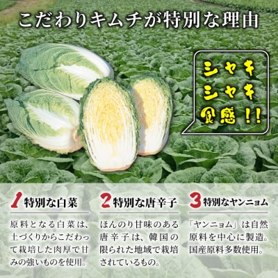 【3回定期便】信州望月高原のこだわりキムチ(4個セット)
