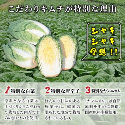 信州望月高原のキムチ3種頒布会(3回コース) 