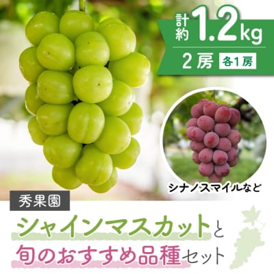 【先行受付2025年発送】シャインマスカットと旬のおすすめ品種2房セット(約1.2kg)|秀果園