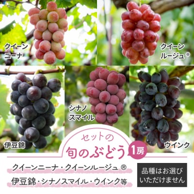 【先行受付2025年発送】シャインマスカットと旬のおすすめ品種2房セット(約1.2kg)|秀果園