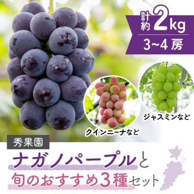 【先行受付2025年発送】ナガノパープルと旬のおすすめ3種セット(合計3~4房、約2kg)|秀果園
