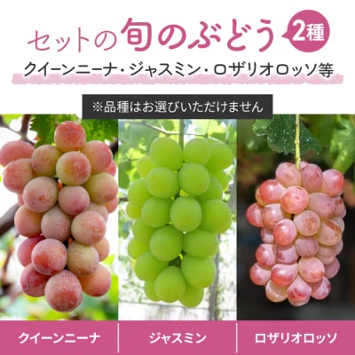 【先行受付2025年発送】ナガノパープルと旬のおすすめ3種セット(合計3~4房、約2kg)|秀果園