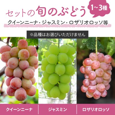 【先行受付2026年発送】ナガノパープルと旬のおすすめ2～4種セット(合計3～4房、約2kg)秀果園