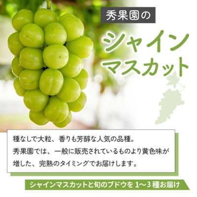 【予約受付2026年発送】シャインマスカットと旬のおすすめぶどう2～4種セット(合計約2kg)秀果園