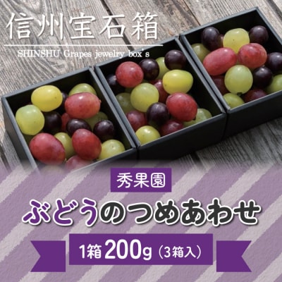 【先行受付2026年発送】信州宝石箱(ぶどうの詰め合わせ)| 秀果園 