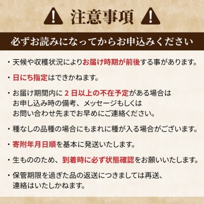 【先行受付2025年発送】信州宝石箱(ぶどうの詰め合わせ)| 秀果園 