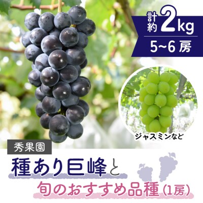【先行受付2025年発送】種あり巨峰と旬のおすすめ品種(1房) 計5~6房 (約2kg)|秀果園