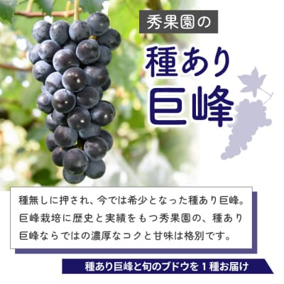 【先行受付2025年発送】種あり巨峰と旬のおすすめ品種(1房) 計5~6房 (約2kg)|秀果園
