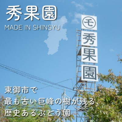 【先行受付2025年発送】種あり巨峰と旬のおすすめ品種(1房) 計5~6房 (約2kg)|秀果園