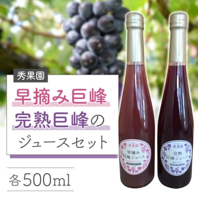 【秀果園】早摘み巨峰のジュースと完熟巨峰のジュースのセット