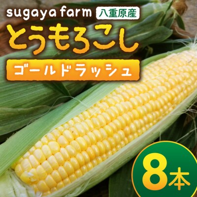 【sugaya farm】とうもろこし(ゴールドラッシュ)8本セット