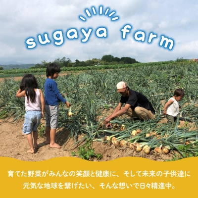 【sugaya farm】とうもろこし(ゴールドラッシュ)8本セット