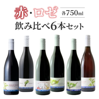 【アルカンヴィーニュ】赤・ロゼワイン　飲み比べ6種6本セット