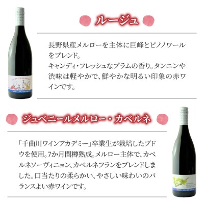【アルカンヴィーニュ】赤・ロゼワイン　飲み比べ6種6本セット