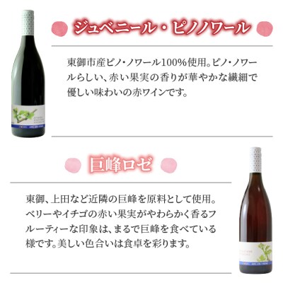 赤・ロゼワイン飲み比べ6種6本セット【アルカンヴィーニュ】