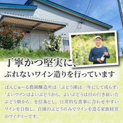 【ぼんじゅーる農園醸造所】祢津アリゴテ(白ワイン)| 国産 長野県 お酒