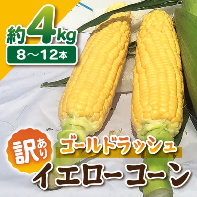 【先行受付2025年発送】訳あり東御市産とうもろこし(ゴールドラッシュ)約4kg(8〜12本)