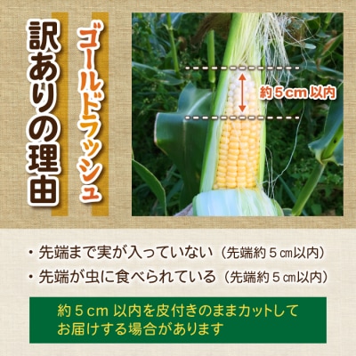 【先行受付2025年発送】訳あり東御市産とうもろこし(ゴールドラッシュ)約4kg(8〜12本)