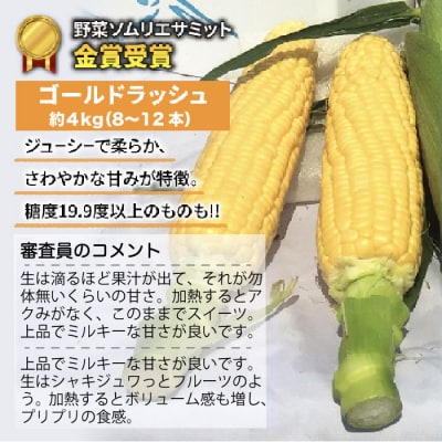 【先行受付2025年発送】訳あり東御市産とうもろこし(ゴールドラッシュ)約4kg(8〜12本)