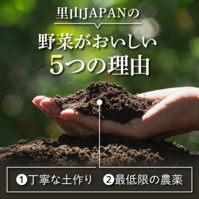【先行受付2026年発送】長野県東御市産生きた土壌で育った『季節の野菜セット』|里山JAPAN