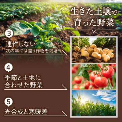 【里山JAPAN】長野県東御市産生きた土壌で育った『季節の野菜セット』(7〜8品目)