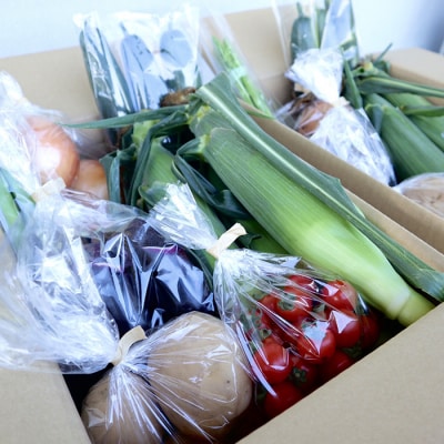 【先行受付2026年発送】長野県東御市産生きた土壌で育った『季節の野菜セット』|里山JAPAN