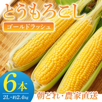 【先行受付2026年発送】農家直送!とうもろこし(ゴールドラッシュ)6本|小林菜園 