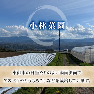 【先行受付2026年発送】農家直送!とうもろこし(ゴールドラッシュ)6本|小林菜園 