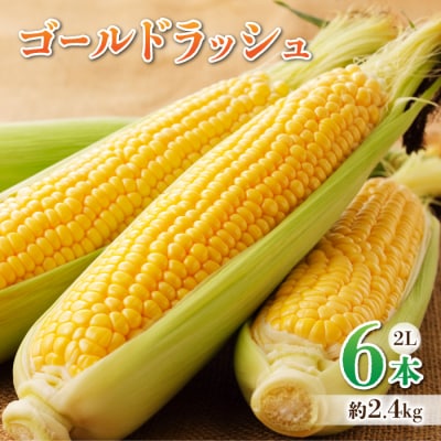 農家直送!とうもろこし(ゴールドラッシュ)6本