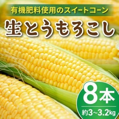 生とうもろこし 2L 8本 有機肥料使用のスイートコーン! 長野県東御市産 ※7月中旬から順次発送予