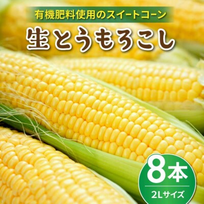 生とうもろこし 2Lサイズ 8本 有機肥料使用のスイートコーン! 長野県東御市産 