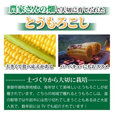 生とうもろこし 2Lサイズ 8本 有機肥料使用のスイートコーン! 長野県東御市産 