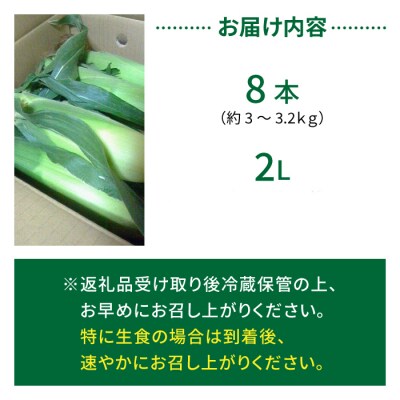 生とうもろこし 2Lサイズ 8本 有機肥料使用のスイートコーン! 長野県東御市産 