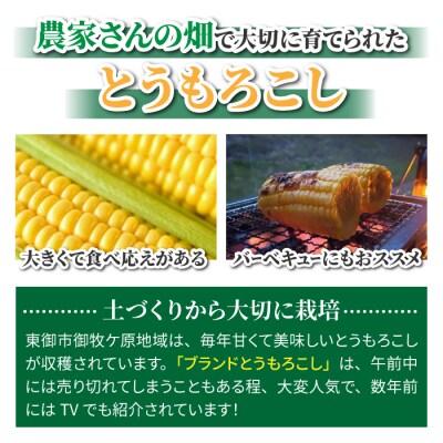 有機肥料使用のスイートコーン! 生とうもろこし 2L 10本 長野県東御市産 ※7月上旬から順次発送