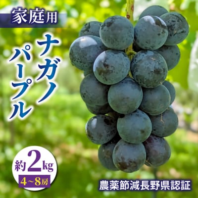 【先行受付2025年発送】【東御こもだ果樹園】家庭用ナガノパープル2kg(4～8房)