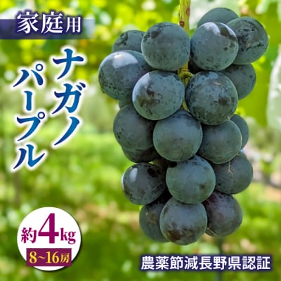 【先行受付2025年発送】【東御こもだ果樹園】家庭用ナガノパープル4kg(8～16房)