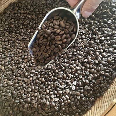 【粉に挽く】【JUKE JOINT COFFEE】ダークローストブレンド&サウステラAA合計400g