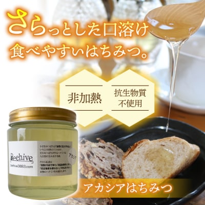 旅する養蜂家厳選!東御市産アカシアはちみつ600g【ビーハイブ】