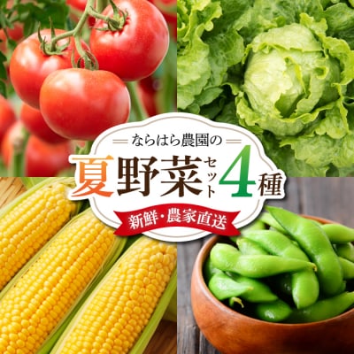【ならはら農園】新鮮!夏野菜のセット(トマト、枝付き枝豆、とうもろこし、葉物野菜)