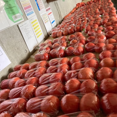【ならはら農園】新鮮!夏野菜のセット(トマト、枝付き枝豆、とうもろこし、葉物野菜)