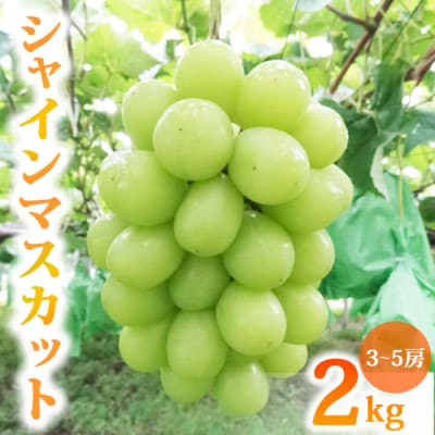 【先行受付2026年発送】農家直送!シャインマスカット2kg(3～5房)【土屋農園】