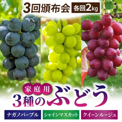 【東御こもだ果樹園】家庭用旬の3種のぶどう3回頒布会　各回2kg