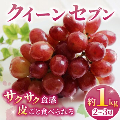 先行予約2025年発送【あおさく農園】皮ごと食べられるクイーンセブン2～3房(約1kg)