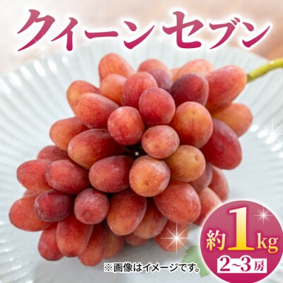 【先行受付2026年発送】皮ごと食べられるクイーンセブン2～3房(約1kg)|あおさく農園