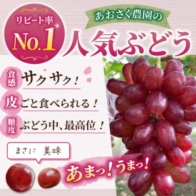 先行予約2025年発送【あおさく農園】皮ごと食べられるクイーンセブン2～3房(約1kg)