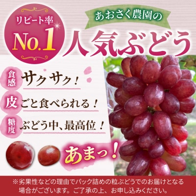【先行受付2026年発送】皮ごと食べられるクイーンセブン2～3房(約1kg)|あおさく農園