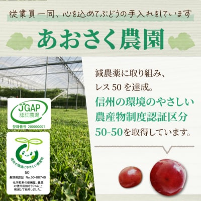 先行予約2025年発送【あおさく農園】皮ごと食べられるクイーンセブン2～3房(約1kg)