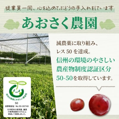 【先行受付2026年発送】皮ごと食べられるクイーンセブン2～3房(約1kg)|あおさく農園