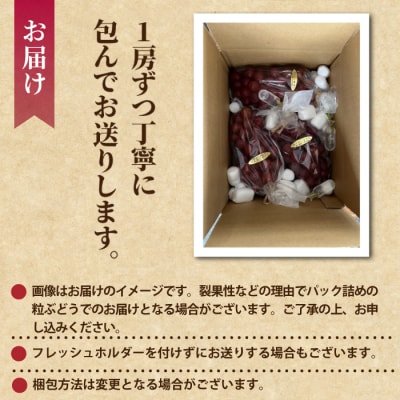 【先行受付2026年発送】皮ごと食べられるクイーンセブン2～3房(約1kg)|あおさく農園